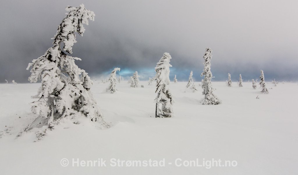 Storm, Winter in Trysil, Norway 002